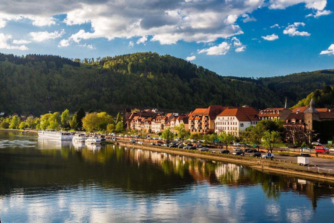 Apartamento Hideaway Im Odenwald Nahe Heidelberg Eberbach  Exterior foto